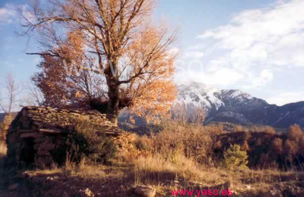 Caseta