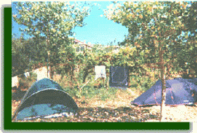 Camping 100 plazas