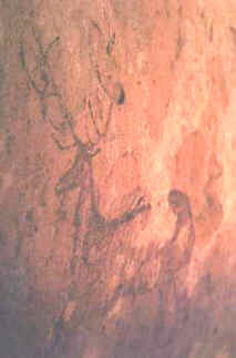 Carrasca milenaria, Parque cultural del Vero